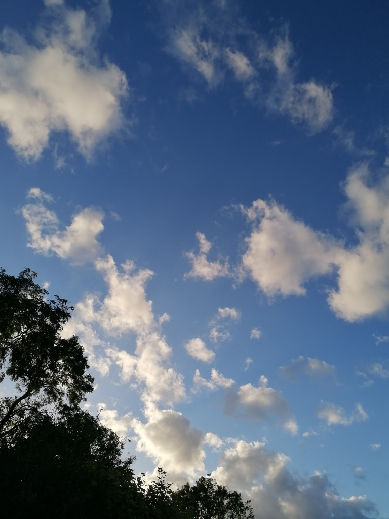 Round clouds in blue sky